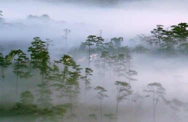 {Góc tư vấn} Chụp ảnh cưới Đà Lạt mùa nào là đẹp nhất?